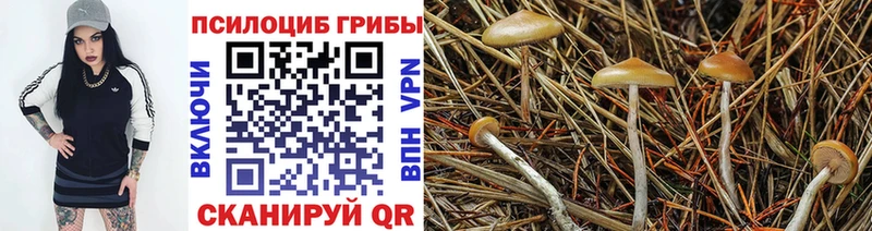 Псилоцибиновые грибы MAGIC MUSHROOMS  купить   Сарапул 